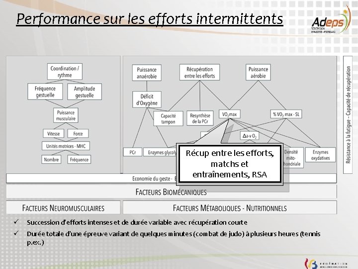 Performance sur les efforts intermittents Récup entre les efforts, matchs et entraînements, RSA ü