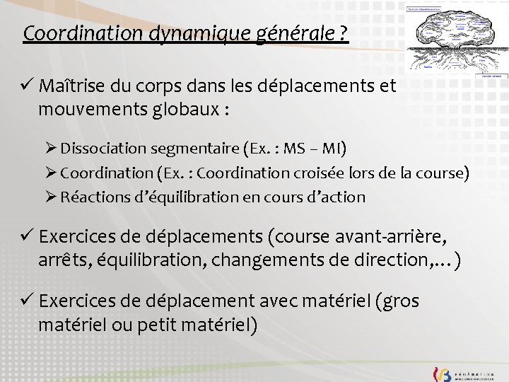 Coordination dynamique générale ? ü Maîtrise du corps dans les déplacements et mouvements globaux