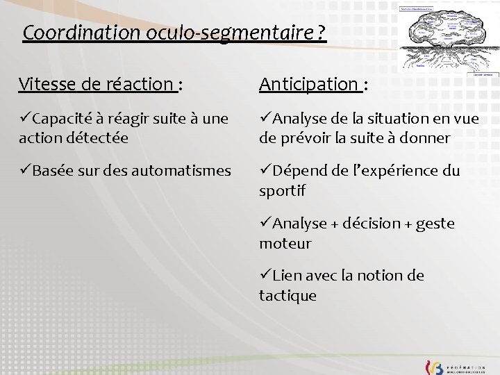 Coordination oculo-segmentaire ? Vitesse de réaction : Anticipation : üCapacité à réagir suite à