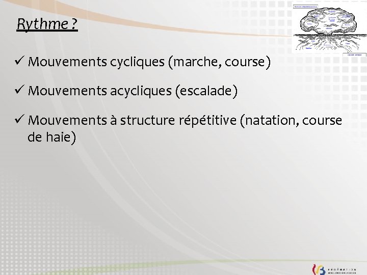 Rythme ? ü Mouvements cycliques (marche, course) ü Mouvements acycliques (escalade) ü Mouvements à