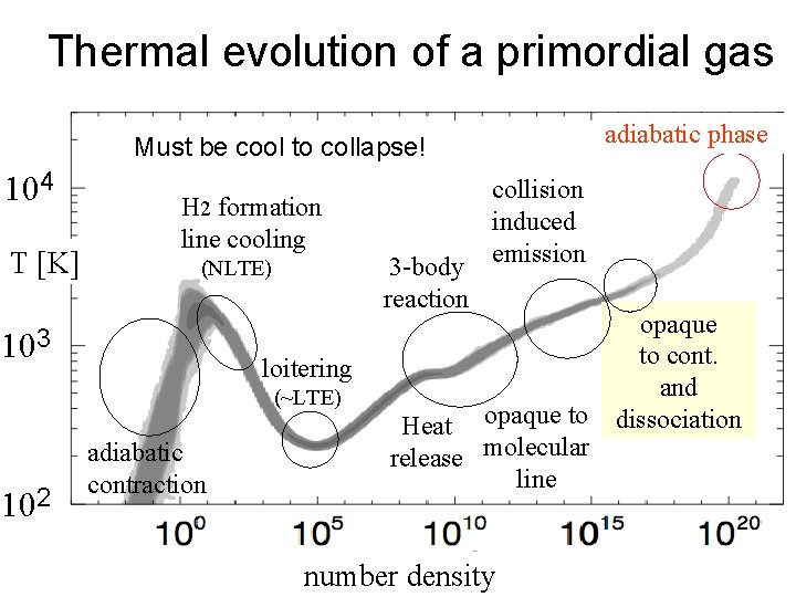 Thermal evolution of a primordial gas adiabatic phase Must be cool to collapse! 104