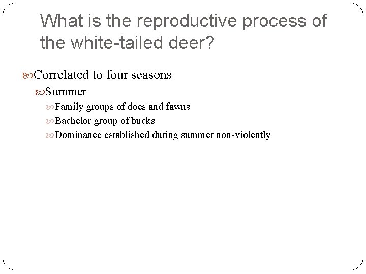 What is the reproductive process of the white-tailed deer? Correlated to four seasons Summer