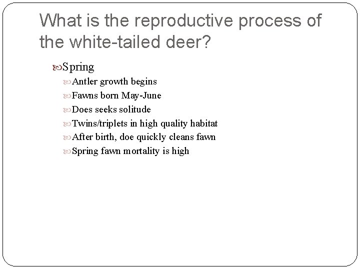 What is the reproductive process of the white-tailed deer? Spring Antler growth begins Fawns