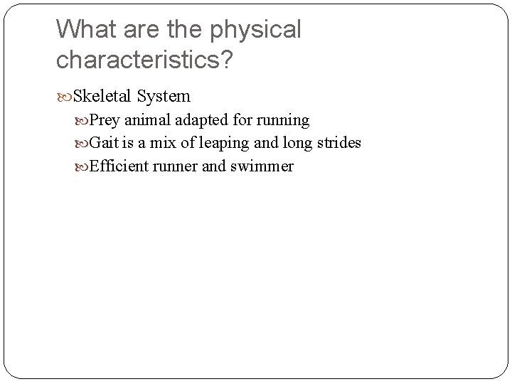 What are the physical characteristics? Skeletal System Prey animal adapted for running Gait is