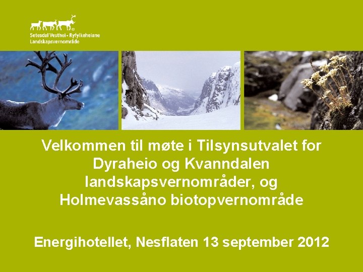 Velkommen til møte i Tilsynsutvalet for Dyraheio og Kvanndalen landskapsvernområder, og Holmevassåno biotopvernområde Energihotellet,