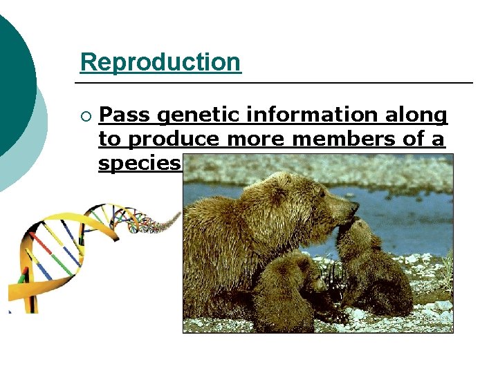 Reproduction ¡ Pass genetic information along to produce more members of a species. 