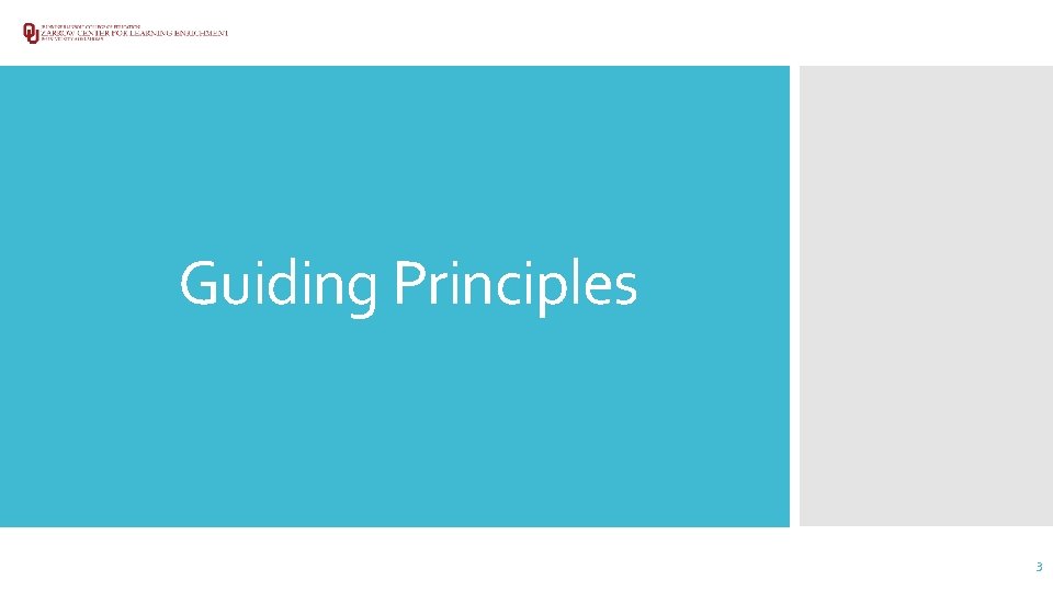 Guiding Principles 3 