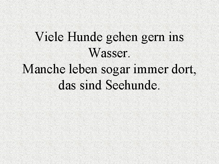 Viele Hunde gehen gern ins Wasser. Manche leben sogar immer dort, das sind Seehunde.