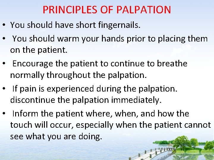 PRINCIPLES OF PALPATION • You should have short fingernails. • You should warm your