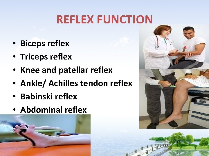 REFLEX FUNCTION • • • Biceps reflex Triceps reflex Knee and patellar reflex Ankle/