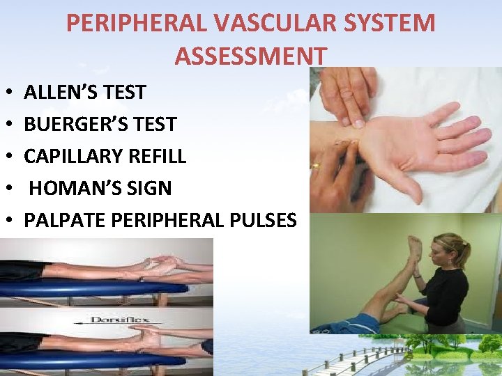 PERIPHERAL VASCULAR SYSTEM ASSESSMENT • • • ALLEN’S TEST BUERGER’S TEST CAPILLARY REFILL HOMAN’S