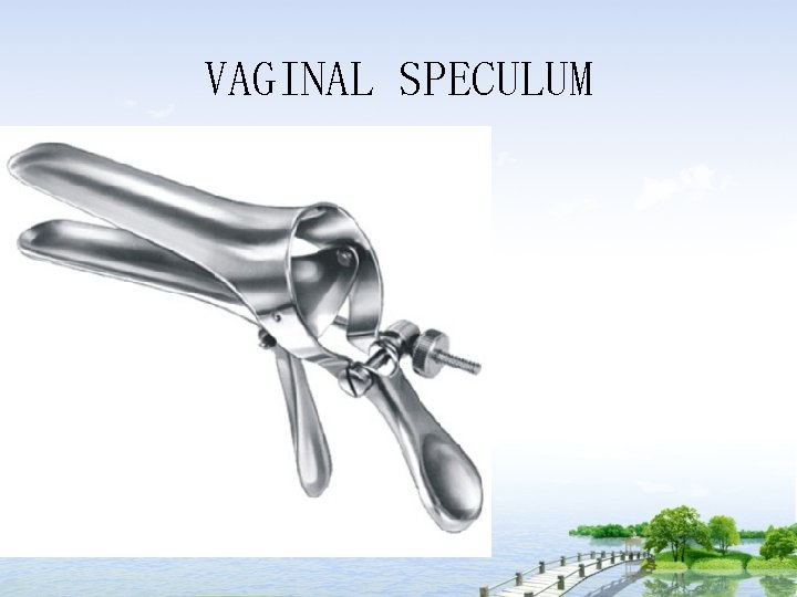 VAGINAL SPECULUM 