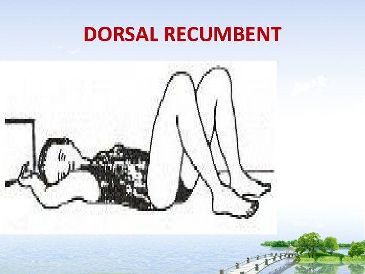 DORSAL RECUMBENT 