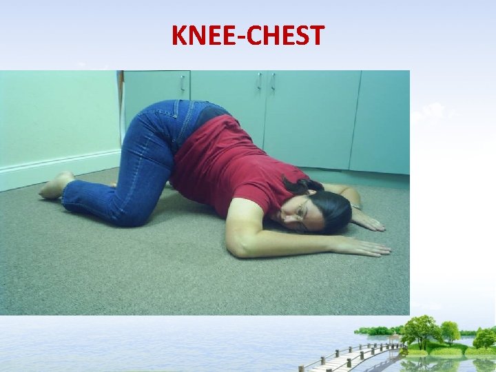 KNEE-CHEST 