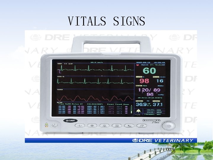 VITALS SIGNS 