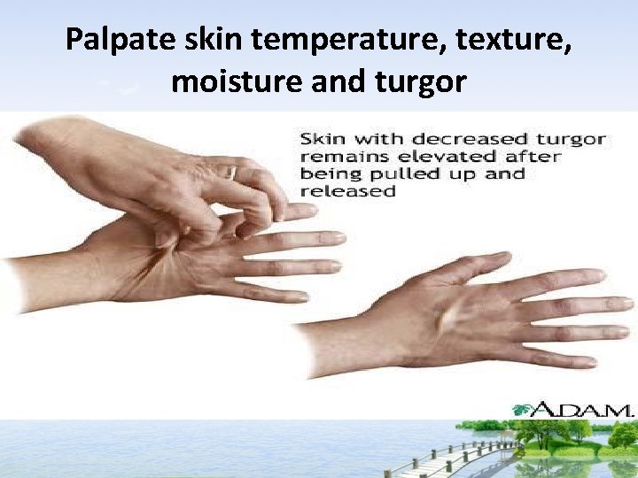 Palpate skin temperature, texture, moisture and turgor 