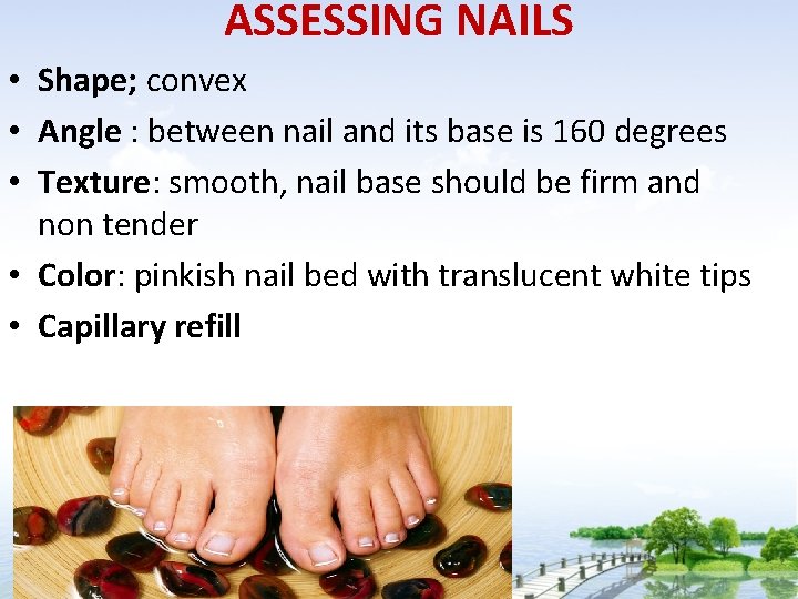 ASSESSING NAILS • Shape; convex • Angle : between nail and its base is