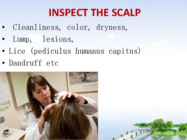 INSPECT THE SCALP • • Cleanliness, color, dryness, Lump, lesions, Lice (pediculus humanus capitus)