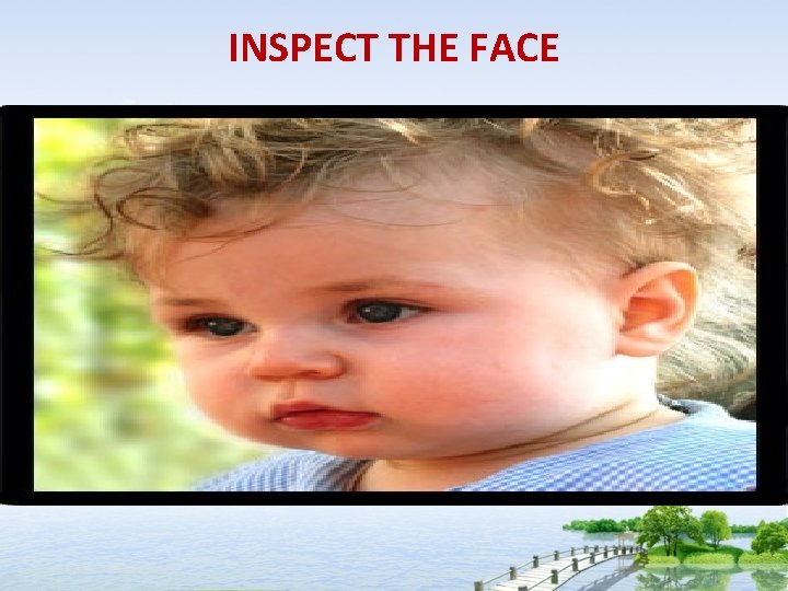 INSPECT THE FACE 