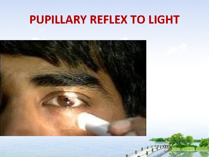 PUPILLARY REFLEX TO LIGHT 