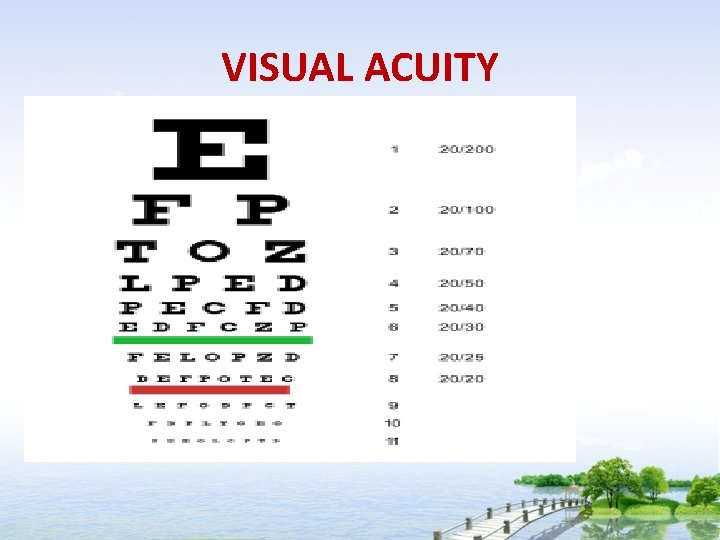 VISUAL ACUITY 