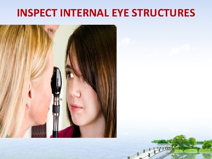 INSPECT INTERNAL EYE STRUCTURES 