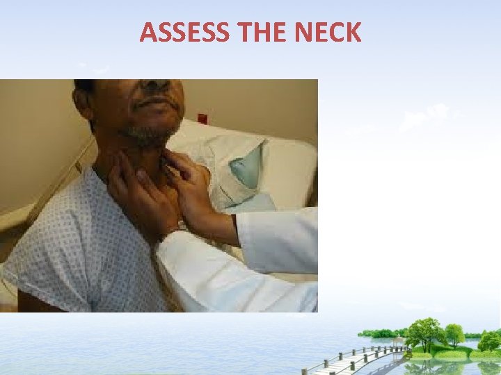 ASSESS THE NECK 