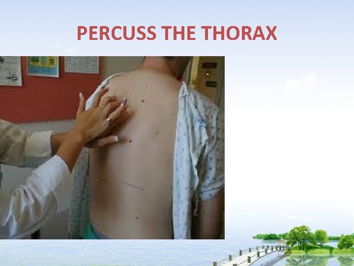 PERCUSS THE THORAX 