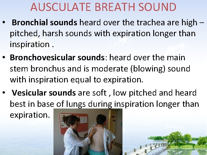 AUSCULATE BREATH SOUND • Bronchial sounds heard over the trachea are high – pitched,