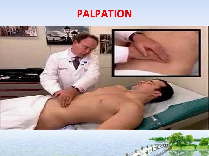  PALPATION 