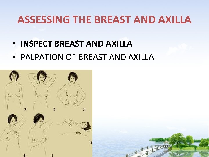 ASSESSING THE BREAST AND AXILLA • INSPECT BREAST AND AXILLA • PALPATION OF BREAST