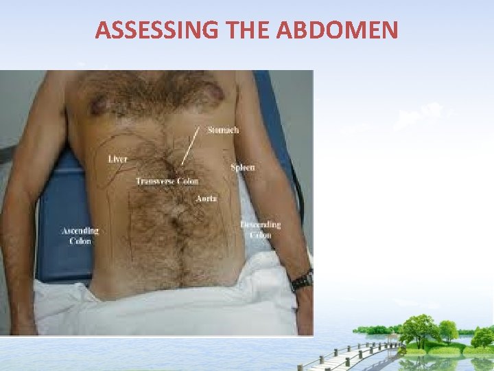 ASSESSING THE ABDOMEN 