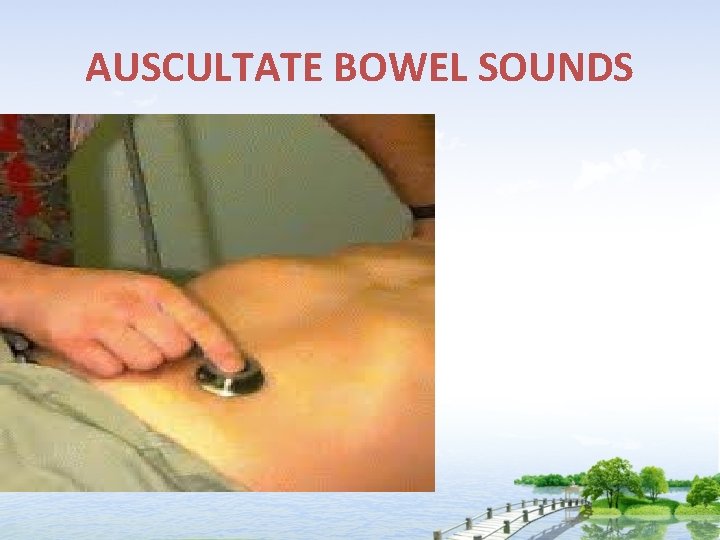 AUSCULTATE BOWEL SOUNDS 