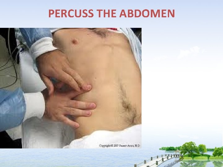 PERCUSS THE ABDOMEN 