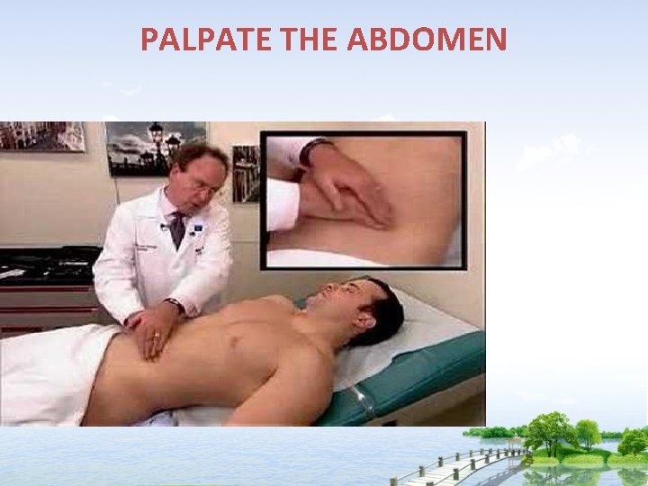 PALPATE THE ABDOMEN 