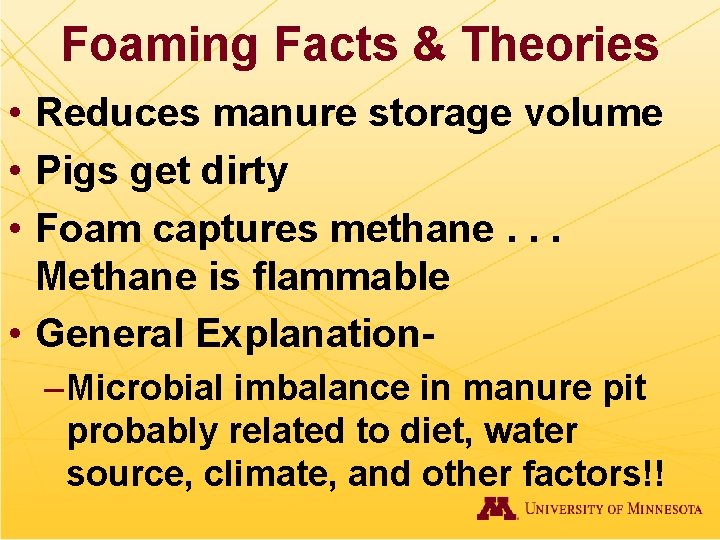 Foaming Facts & Theories • Reduces manure storage volume • Pigs get dirty •