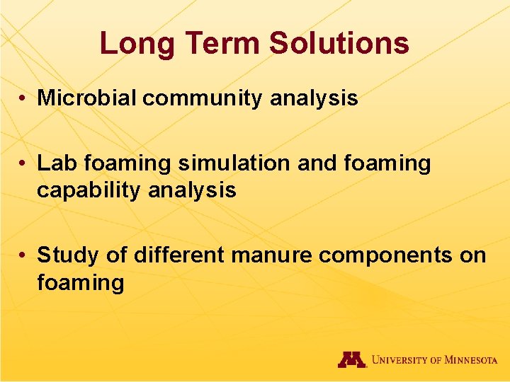 Long Term Solutions • Microbial community analysis • Lab foaming simulation and foaming capability