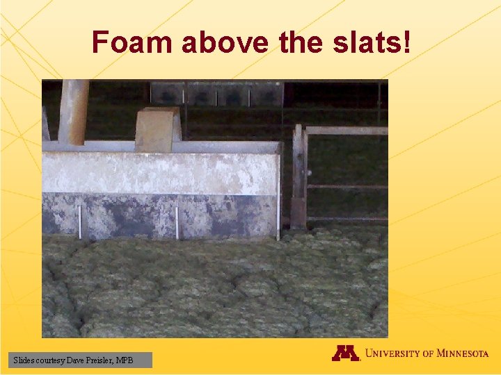 Foam above the slats! Slides courtesy Dave Preisler, MPB 