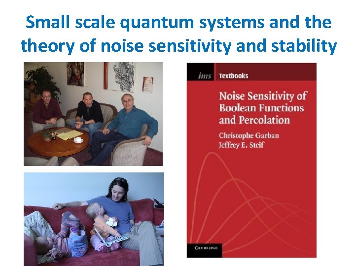 Small scale quantum systems and theory of noise sensitivity and stability 