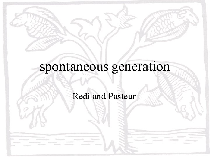 spontaneous generation Redi and Pasteur 