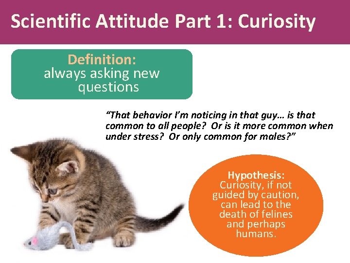 Scientific Attitude Part 1: Curiosity Definition: always asking new questions “That behavior I’m noticing