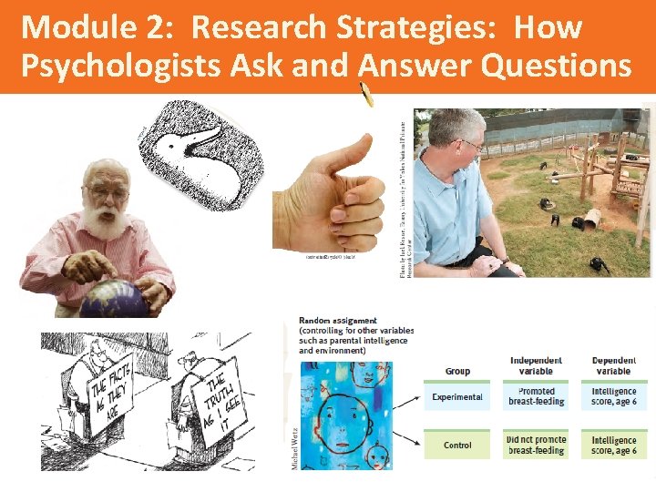 Module 2: Research Strategies: How Psychologists Ask and Answer Questions 