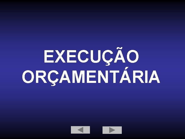 EXECUÇÃO ORÇAMENTÁRIA 