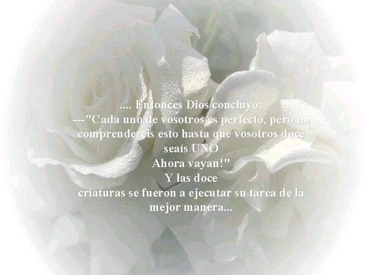 . . Entonces Dios concluyó: ---"Cada uno de vosotros es perfecto, pero no comprendereis