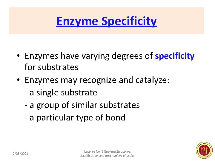 Enzyme Specificity • Enzymes have varying degrees of specificity for substrates • Enzymes may