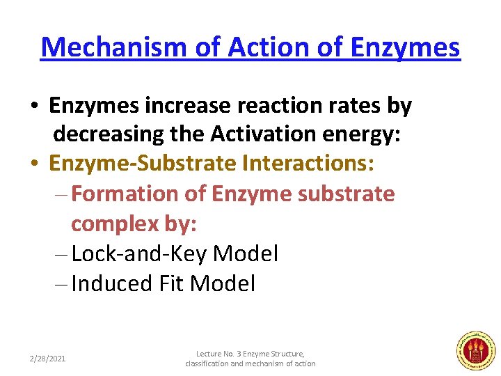Mechanism of Action of Enzymes • Enzymes increase reaction rates by decreasing the Activation