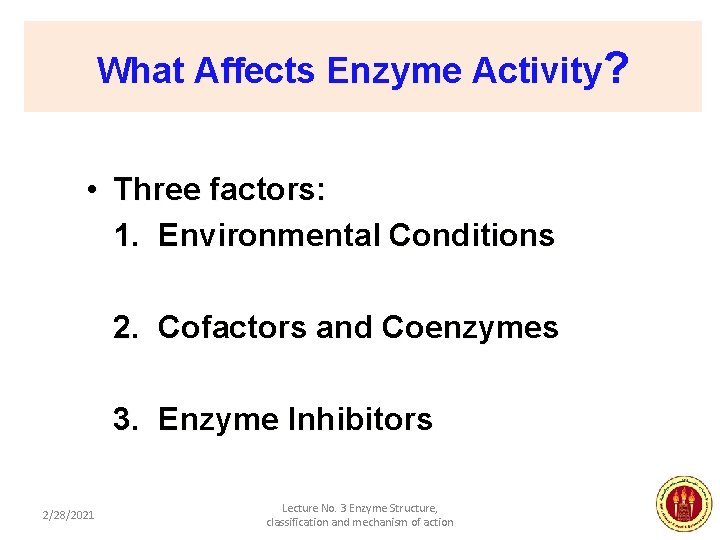 What Affects Enzyme Activity? • Three factors: 1. Environmental Conditions 2. Cofactors and Coenzymes