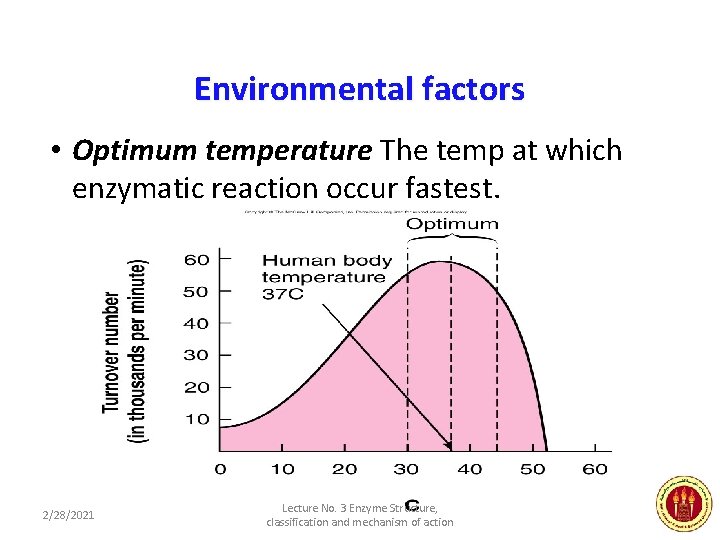 Environmental factors • Optimum temperature The temp at which enzymatic reaction occur fastest. 2/28/2021