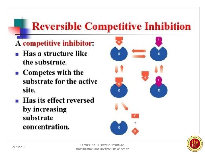 Enzyme Inhibitors • Competive - mimic substrate, may block active site, but may dislodge