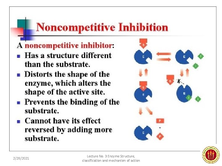 Enzyme Inhibitors • Noncompetitive 2/28/2021 Lecture No. 3 Enzyme Structure, classification and mechanism of